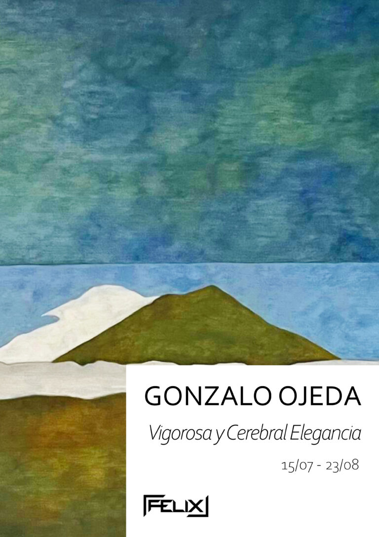 Cartel GONZALO OJEDA 2